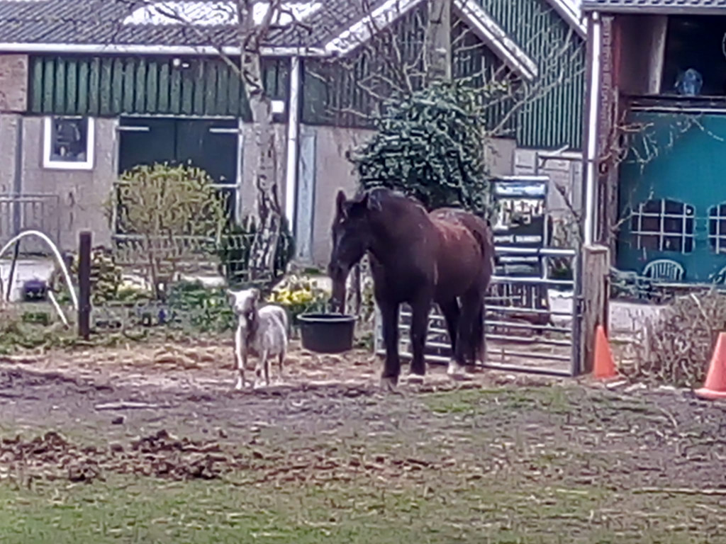 Vrienden (samen staan we in de modder)